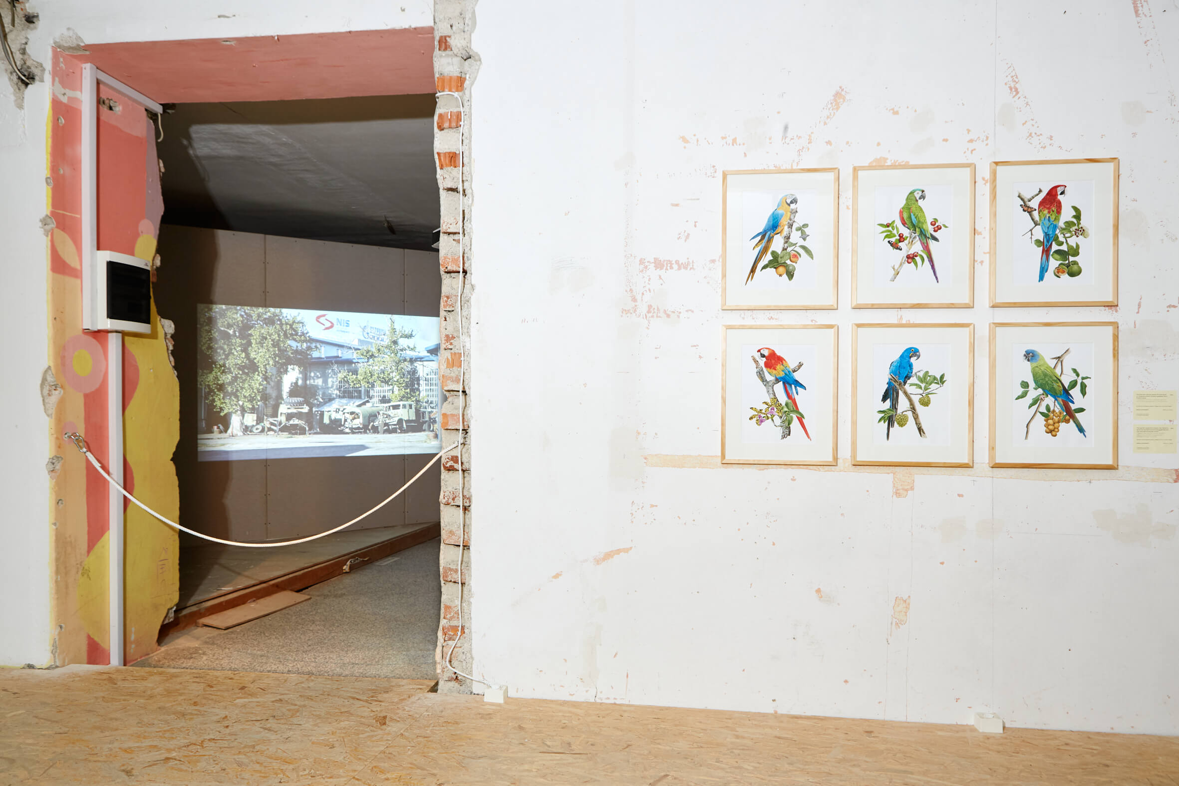 BIO 26: Skupno Znanje